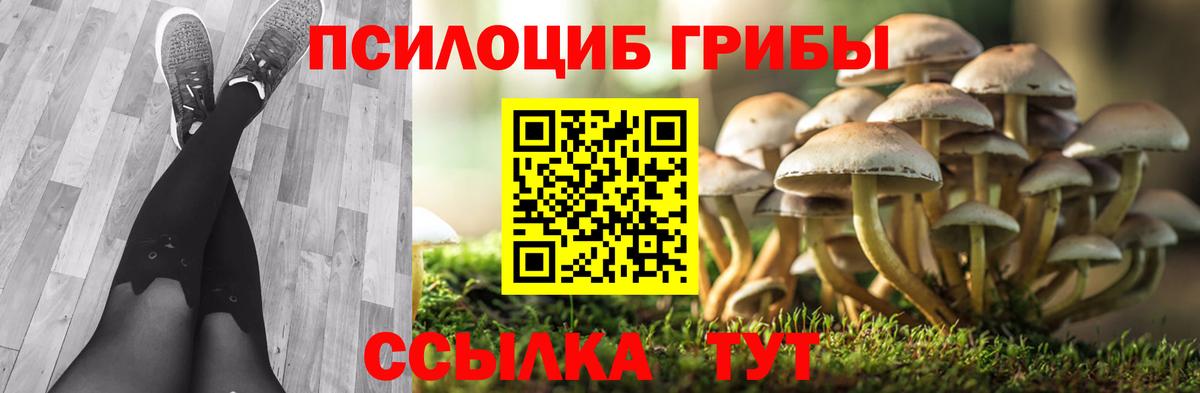 Петропавловск-Камчатский  Псилоцибиновые грибы мухоморы  Галлюциногенные грибы прущие грибы  Вход с VPN 